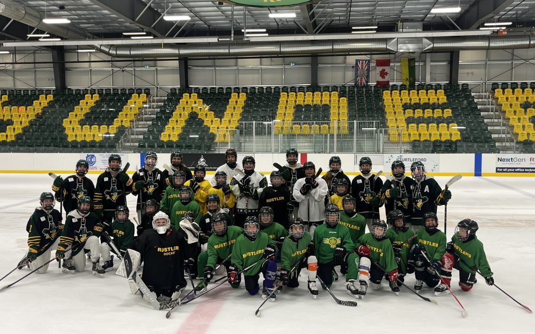 Hockey Highlights: Camps, Clinics, and Competitive Matchups